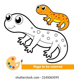 Coloring book for kids, newt vector