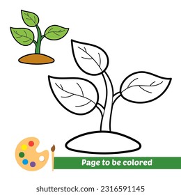 coloring book for kids, plant seed vector