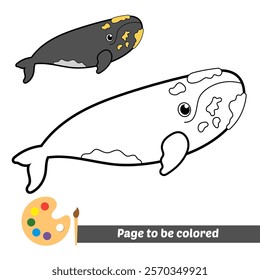 coloring book for kids, right whale vector
