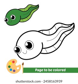 coloring book for kids, tadpole vector