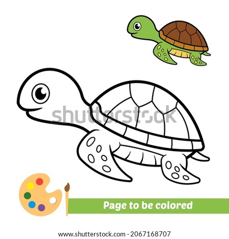 Coloring book for kids, turtle vector