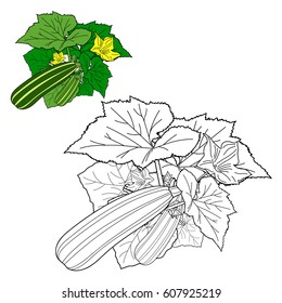 Coloring book for kids. Vector.