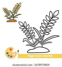 coloring book for kids, wheat vector