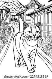 Coloring book for kids.Worksheets for teachers to teach.Cat walking in garden.