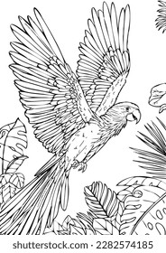 Coloring book for kids.Worksheets for teachers to teach.Macaw parrot in the forest.
