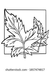 coloring book leaflets vector autumn illustration isolate on white background stroke nature outline doodle sketch print postcard hand drawing lines