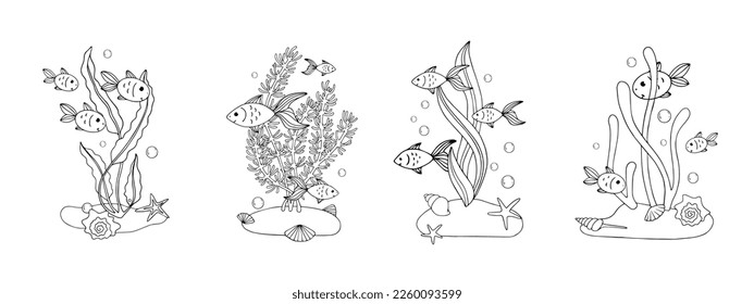 Coloring book, linear sketches of fish in algae at the bottom of the aquarium. Vector graphics.