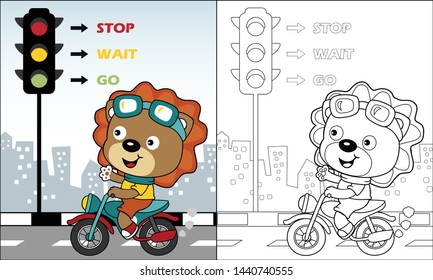 Coloring book of lion cartoon riding motorcycle in city road, vector illustration