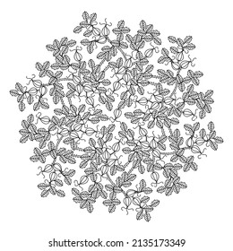 Coloring book mandala with floral pattern. Hand drawn black and white vector illustration.