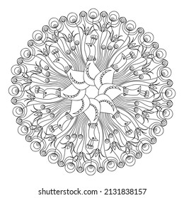 Coloring book mandala with peacock. Hand drawn black and white vector illustration.
