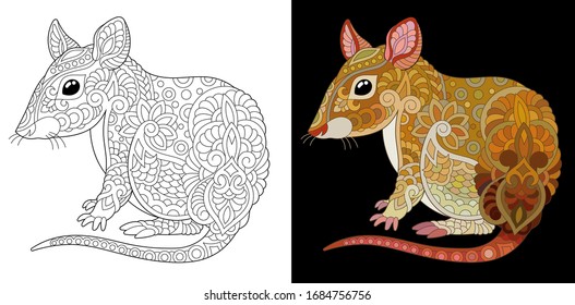 Coloring book. Mouse. Colorless and color sample painted in brown pastel colors. Line art design for adult or kids colouring page in zentangle style. Vector illustration.