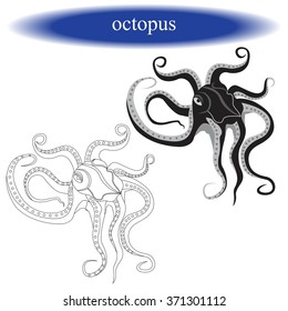 Coloring book ( octopus ) for children. Vector illustration.