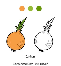 Coloring book (onion)