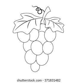 Coloring Book Outlined Grapes
