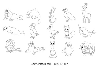 Coloring book page with 15  cartoon arctic animals. Vector illustration isolated on white background. Arctic animals collection.