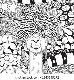 Coloring Book page for Adult and children. Llama in zentangle style. Black and white monochrome background. Doodle hand-drawn.