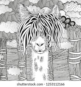 Coloring Book page for Adult and children. Llama in zentangle style. Black and white monochrome background. Doodle hand-drawn.