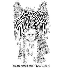 Coloring Book page for Adult and children. Llama in zentangle style. Black and white monochrome background. Doodle hand-drawn.