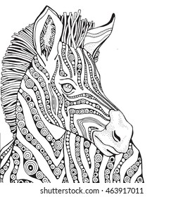Coloring Book page for Adult and children. Zebra in zentangle style. Black and white monochrome background. Doodle hand-drawn.