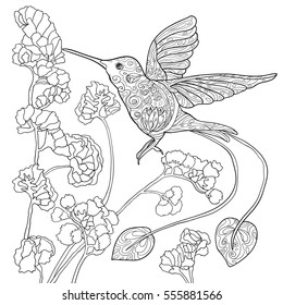 Coloring book page for adult. Flying Hummingbird. Hummingbird and flowers. Stylized bird. Hummingbird drinking nectar from flower. Line art. Drawing by hand. Doodle. 