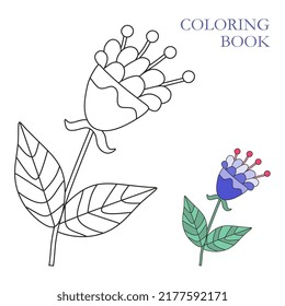 Coloring book page with beautiful blue flower. Botanical vector illustration for children education.