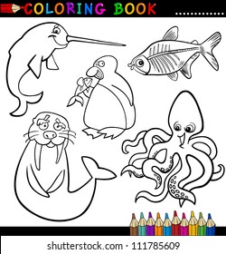 Coloring Book or Page Cartoon Illustration of Funny Marine and Polar Animals for Children