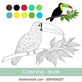 Coloring book page. Cartoon toucan colorful template. Vector animal characters  isolated on white. Toucan isolated contour. For coloring book page. Cartoon kids animals coloring book.Children game.
