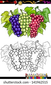 Coloring Book or Page Cartoon Vector Illustration of Three Bunches of White and Red and Black or Blue Grapes or Grapevine Fruit Food Group for Children Education
