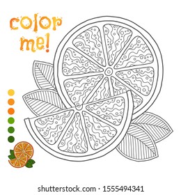 Coloring book page for children with outlines of orange and a colorful copy of it. Illustration for kids education or adult antistress. Hand-drawn, doodle, zentangle style. Set of illustrations. 