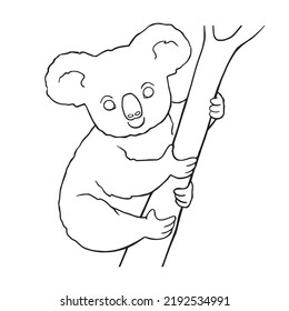 Coloring book page with cute cartoon koala on branch. Activity page and worksheet. Vector illustration funny animals character isolated on white background. 