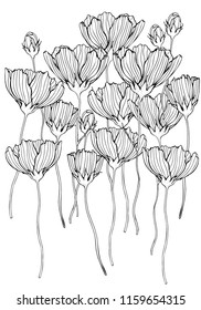 Coloring book page with flowers and leaf. Black and white vector illustration. Doodle, hand drawn, zen art, anti stress.