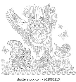 Coloring book page of forest landscape, owl, cuckoo bird, woodpecker, squirrel, snail, stag beetle, butterflies. Freehand drawing for adult antistress colouring with doodle and zentangle elements.