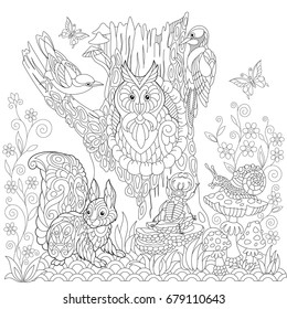 Coloring book page of forest landscape, owl, cuckoo bird, woodpecker, squirrel, snail, stag beetle, butterflies. Freehand drawing for adult antistress colouring with doodle and zentangle elements.