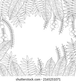 Coloring book page with frame from the plants. Cute botanical art. Vector illustration. 
