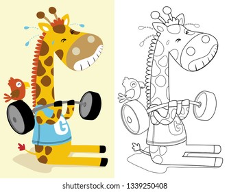 coloring book or page of funny giraffe cartoon lifting heavy barbell with little bird