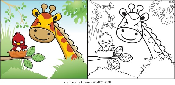 Farbbuch oder Seite des Giraffenkartoons im Dschungel mit einem kleinen Vogel im Nest