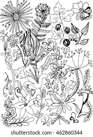 Coloring book page. Hand drawn vector illustration for your design. Floral elements.