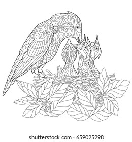 Coloring book page of jay bird feeding its newborn nestlings. Freehand sketch drawing for adult antistress colouring with doodle and zentangle elements.