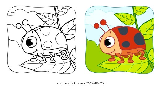Coloring book or Coloring page for kids. ladybug vector illustration clipart. Nature background.