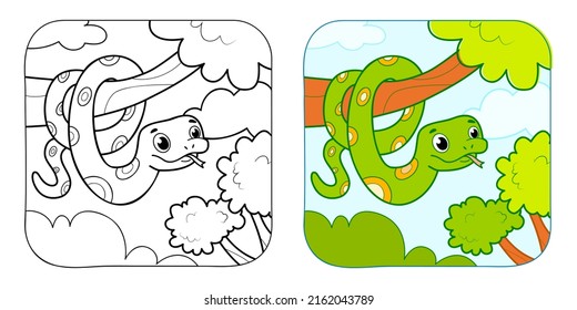 Coloring book or Coloring page for kids. Snake vector illustration clipart. Nature background.