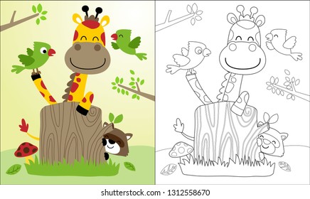Coloring book or page of nice giraffe cartoon with raccoon and birds.
