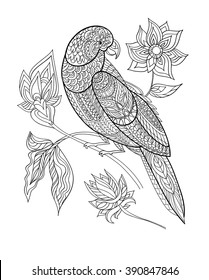 Coloring book page. Ornamental exotic bird hand drawn. Line art. Black and white vector illustration.. Parrot with fantasy flowers . T-shirt design print.