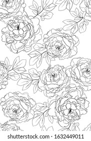 coloring book page. Outline hand drawn. Peony flower for fabrics, postcards, posters, banners, textile, stickers. Elegant seamless pattern.