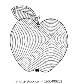 Coloring book page  with outlines of apple. Illustration for kids education or adult antistress. Hand-drawn, doodle, zentangle style. Set of illustrations.