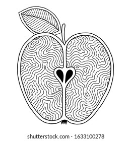 Coloring book page  with outlines of apple. Illustration for kids education or adult antistress. Hand-drawn, doodle, zentangle style. Set of illustrations.