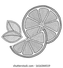 Coloring book page  with outlines of orange. Illustration for kids education or adult antistress. Hand-drawn, doodle, zentangle style. Set of illustrations.