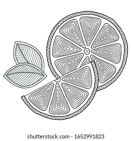 Coloring book page  with outlines of orange. Illustration for kids education or adult antistress. Hand-drawn, doodle, zentangle style. Set of illustrations.