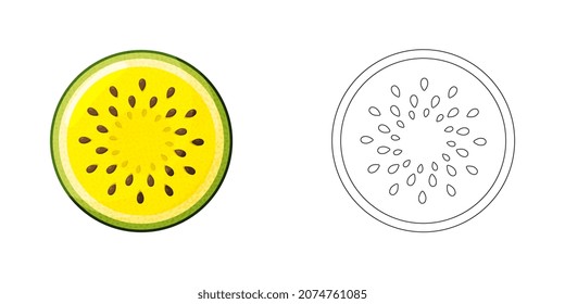 Coloring book page for preschool children with outlines of watermelon slices and a colorful copy of them. Vector illustration of watermelon for kids education.