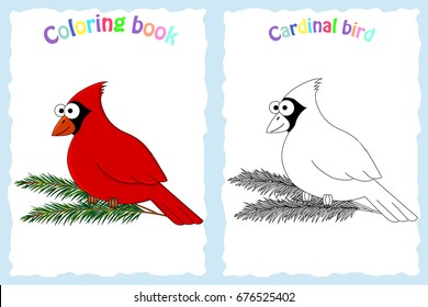 Coloring book page for preschool children with colorful red cardinal and sketch to color