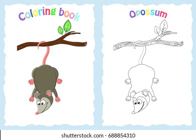 Coloring book page for preschool children with colorful opossum  and sketch to color. Exotic animal.